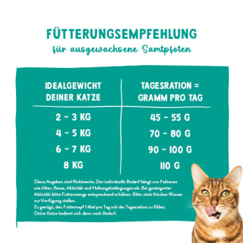 Preview: Sanabelle DENTAL