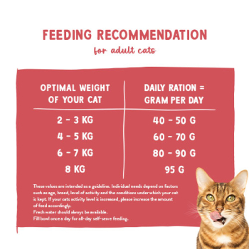 Preview: Sanabelle Gastrointestinal